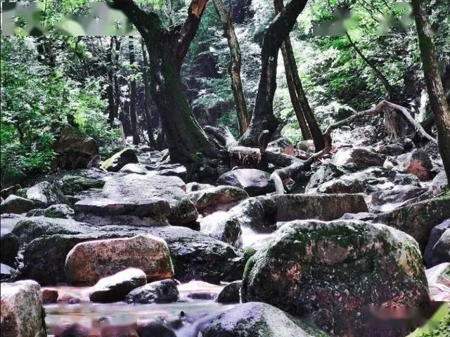 最后一站