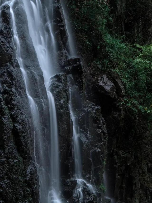 急速变色龙